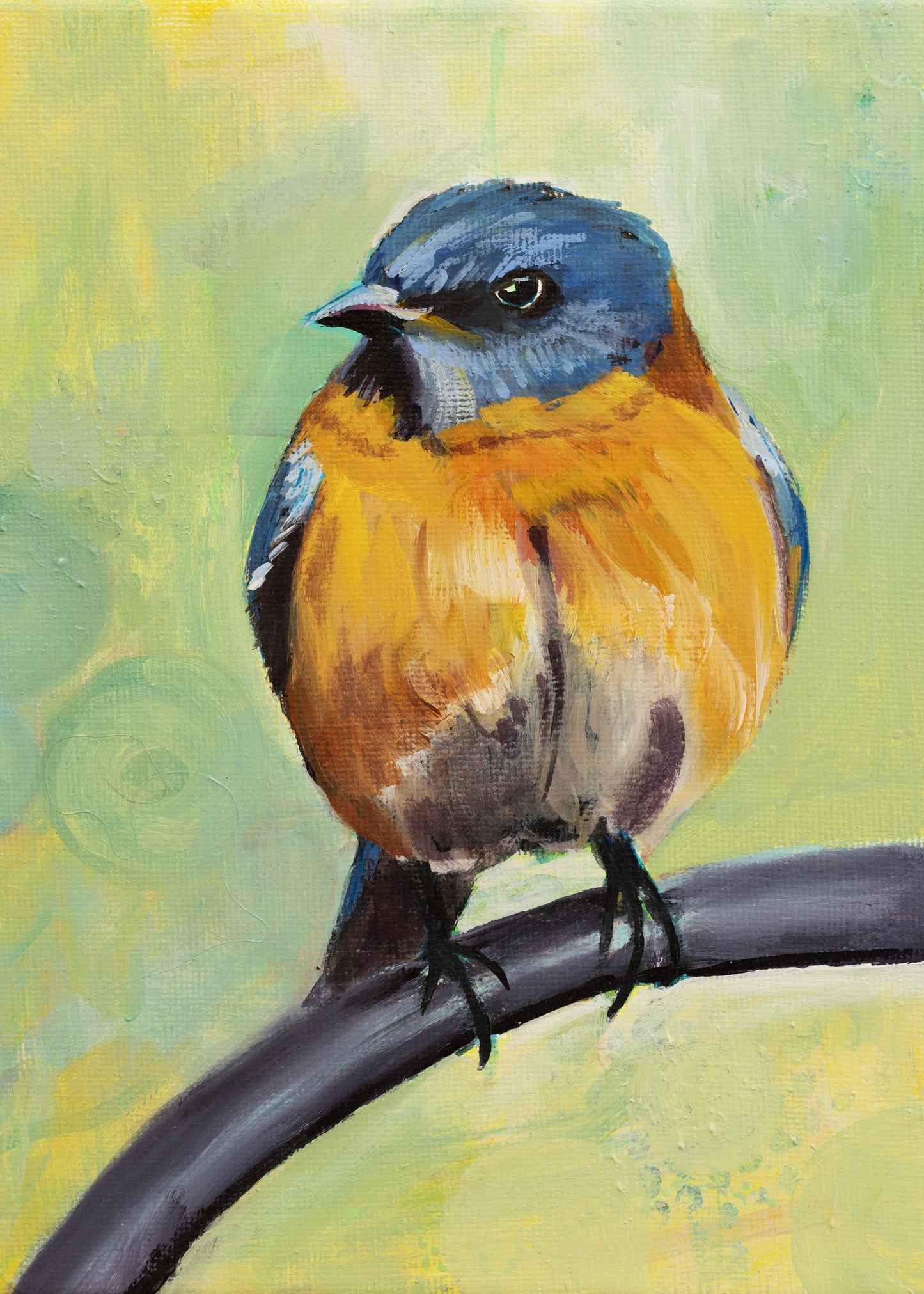 Robin on a chair