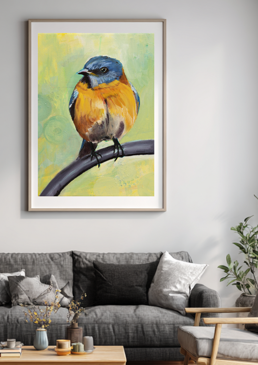 Robin on a chair