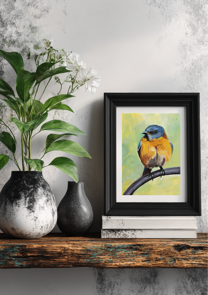 Robin on a chair